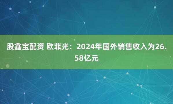 股鑫宝配资 欧菲光：2024年国外销售收入为26.58亿元