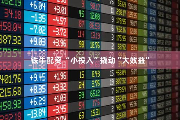 铁牛配资 “小投入”撬动“大效益”